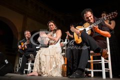 Noche Blanca del Flamenco 2013. Conciertos