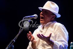 Noche Blanca del Flamenco