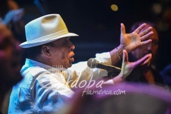 peleando_y_punto_-_el_pele_20130624_1337622783