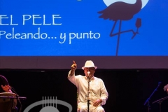 peleando_y_punto_-_el_pele_20130624_1674720968