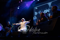 peleando_y_punto_-_el_pele_20130624_1928126951