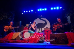 un_viaje_por_el_cante_-_argentina_20130624_1060564996