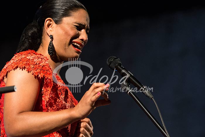 alczar_viejo_a_la_luz_de_las_velas_-_toi_fernndez_20130624_1715957708