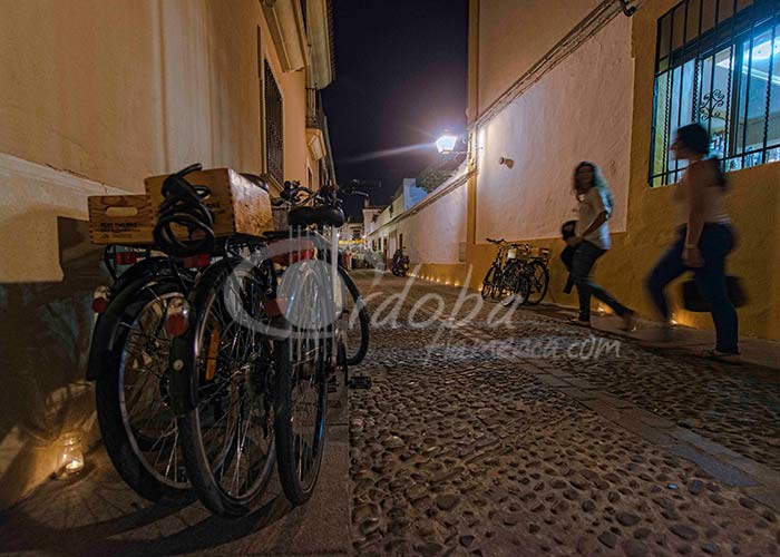 alczar_viejo_a_la_luz_de_las_velas_20130625_1705222772