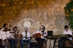 Noche Blanca del Flamenco 2013. Programación paralela