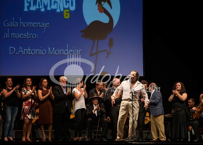 homenaje_a_antonio_mondjar_-_talegn_de_crdoba_20130624_1412746160