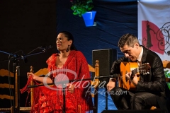 alczar_viejo_a_la_luz_de_las_velas_-_toi_fernndez_20130624_1421313232