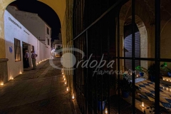 alczar_viejo_a_la_luz_de_las_velas_20130625_1676428441