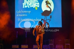 homenaje_a_antonio_mondjar_-_fernando_solano_20130624_1448094994