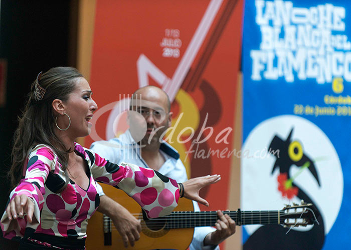 presentacin_de_la_noche_blanca_en_el_museo_carmen_thyssen_de_mlaga_20130624_1111265223