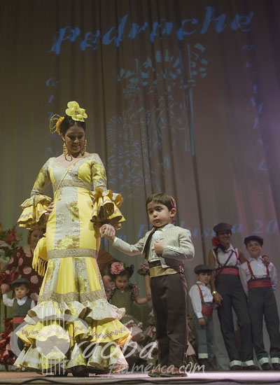 ii_pasarela_de_moda_flamenca_sembrando_esperanza_47_20120321_1867190535
