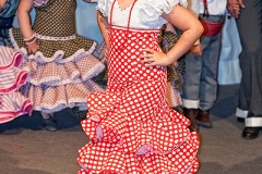 ii_pasarela_de_moda_flamenca_sembrando_esperanza_9_20120321_1216548485