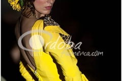 pepa_garrido_coleccin_puro_garrido_20130113_1400020491