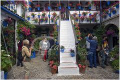 Patios de Córdoba