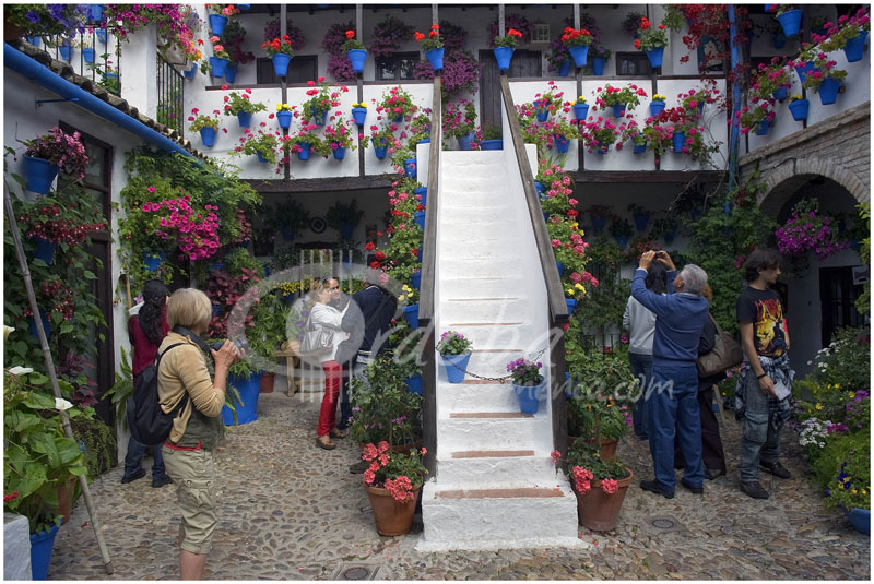 patio_en_el_barrio_del_alczar_viejo_1_20120504_1504274632