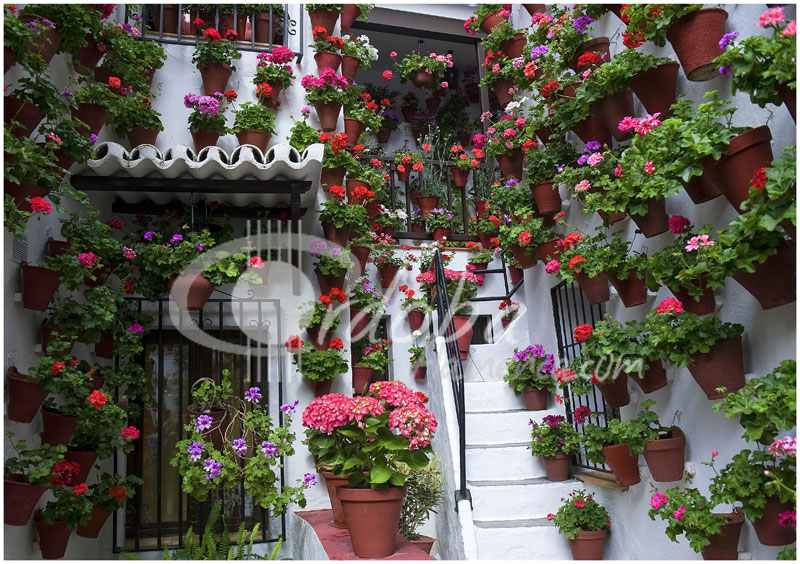 patio_en_el_barrio_del_alczar_viejo_2_20120504_1772432233