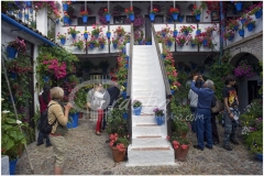 patio_en_el_barrio_del_alczar_viejo_1_20120504_1504274632