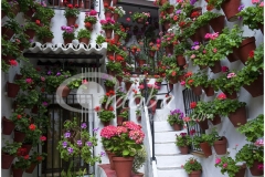 patio_en_el_barrio_del_alczar_viejo_2_20120504_1772432233