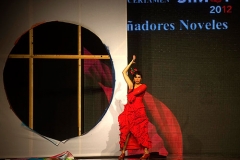 inauguracin_certmen_jvenes_diseadores_20120203_1623901929