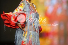 lina_flamenco_20130201_1107422785