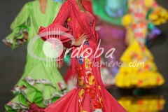 lina_flamenco_20130201_1504807589