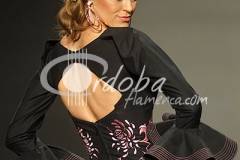 lina_flamenco_20130201_1510075225