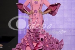 desfile_aecc_20140202_1608236363