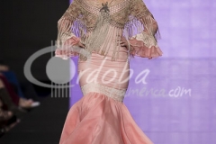 desfile_aecc_20140202_1915339714