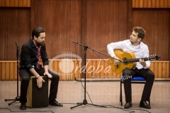 v-jornadas-flamenco-09
