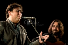 festival-flamenco-cordoba-2015 (2)