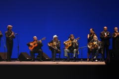 vors_jerez_al_cante_20140918_1595532105