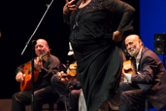 vors_jerez_al_cante_20140918_1628625395