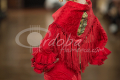 We love Flamenco 2015