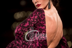 we-love-flamenco-2016-08