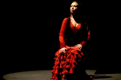 xiv_cordobn_flamenco_1_20111114_1734881035