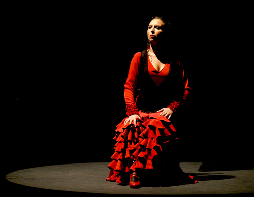 xiv_cordobn_flamenco_1_20111114_1734881035