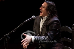 cordoban-2014-02