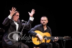 cordoban-2014-04