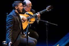 cordoban-flamenco-2014 (1)