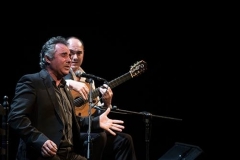 cordoban-flamenco-2014 (3)