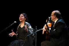 cordoban-flamenco-2014 (4)