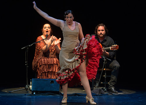 La Choni en la Gala de Navidad de la Cátedra de Flamencología de Córdoba celebrada en el Gran Teatro de Córdoba. Foto: Toni Blanco.