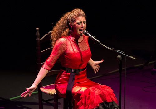 Alicia Gil en el ciclo 'Flamenco Viene del Sur' celebrado en Sevilla. Foto: Adam Newby.