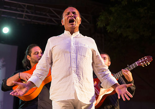 El Pele en su última actuación en la Cata Flamenca de Montilla. Foto: Miguel Valverde.