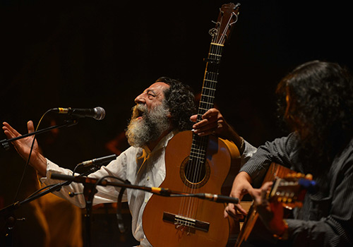 Manuel Molina, durante su actuación en la Noche Blanca del Flamenco 2013. Foto: Toni Blanco.