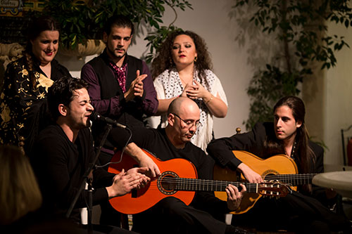 Flamenco en Córdoba - Flamenco córdoba spain - Cenas con Flamenco -Flamenco en Patios de Córdoba - Dinner with Flamenco - Tablao Flamenco en Córdoba - Flamenco Experiences - Experiencias de Flamenco