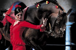 Espectáculo Ecuestre | Pasión y Duende del Caballo Andaluz @ Caballerizas Reales | Córdoba | Andalucía | España