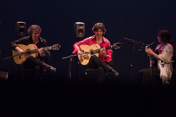 Concierto de Niño Pura en el Festival de la Guitarra. Foto: cordobaflamenca.com