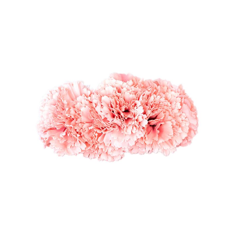Semicorona de claveles - Complementos de flamenca -Moda Flamenca - Flores de Flamenca - Semicorona de Flores - Marbearte - Flores hechas a mano - Complementos de flamenca artesanales - Color rosa nude
