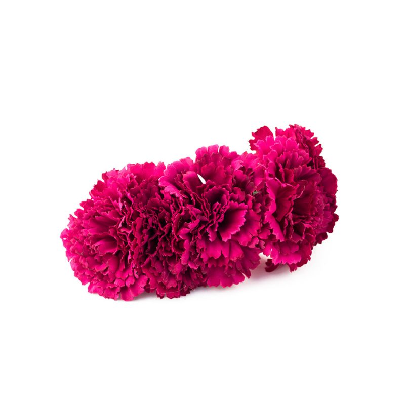 Semicorona de flamenca de claveles - Semicorona de flamenca de flores - Complementos de flamenca de flores - Complementos de flamenca de claveles - Complementos de flamenca hechos a mano - Complementos de flamenca de flores -
